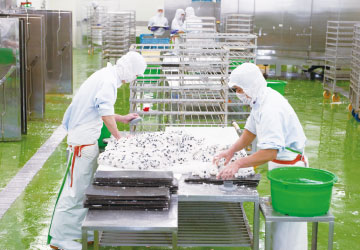ラーフエイドの施工事例-食品工場流通システム